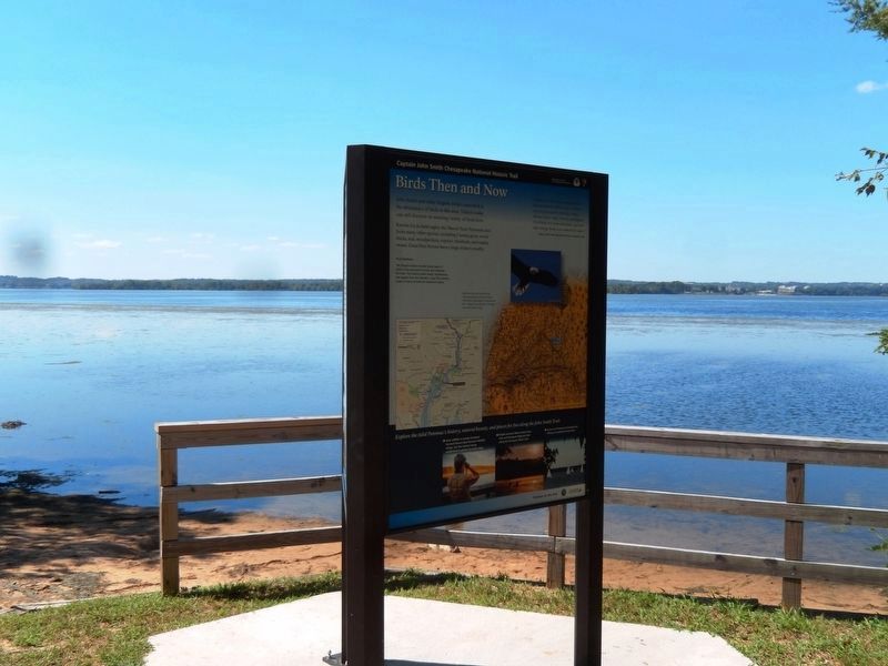 Birds Then and Now Marker-On the edge of the Potomac River. Click for full size. Birds Then and Now Marker-On the edge of the Potomac River image. Click for full size.