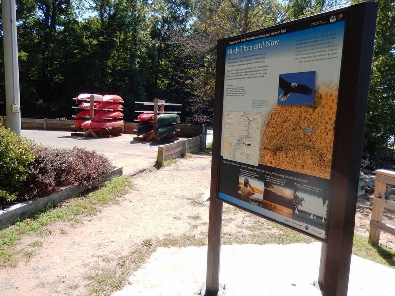 Birds Then and Now Marker-Boat storage in the background. Click for full size. Birds Then and Now Marker-Boat storage in the background image. Click for full size.
