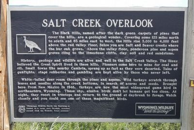 Salt Creek Overlook Marker image. Click for full size.