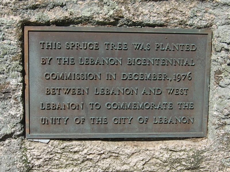 City of Lebanon Spruce Tree Marker image. Click for full size.