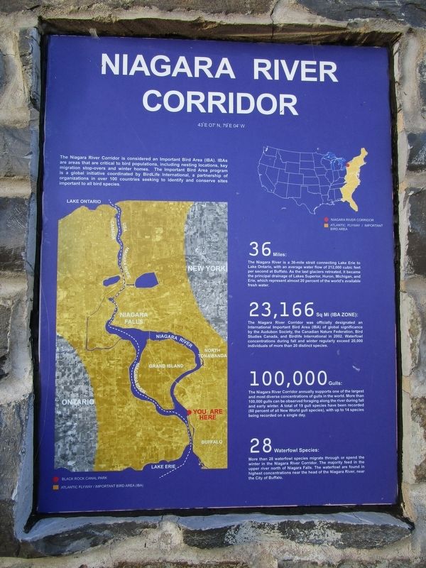 Niagara River Corridor Panel. Click for full size. Niagara River Corridor Panel image. Click for full size.