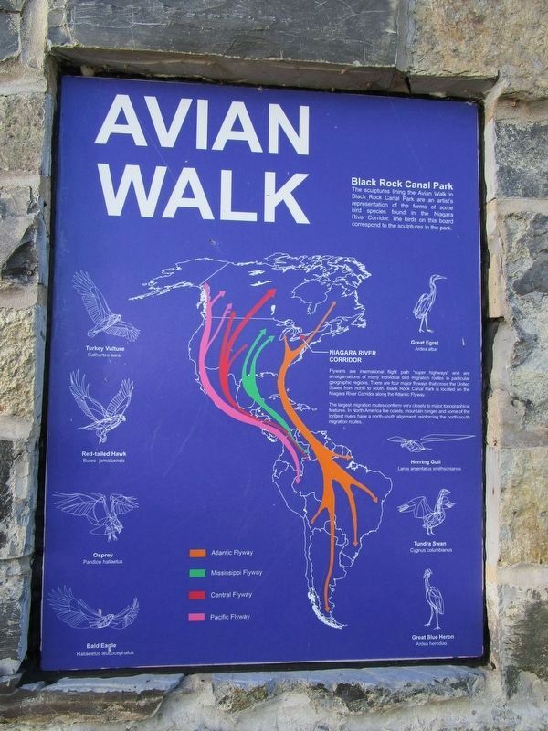 Avian Walk Panel image. Click for full size.