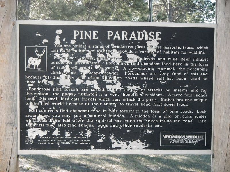 Pine Paradise Marker image. Click for full size.