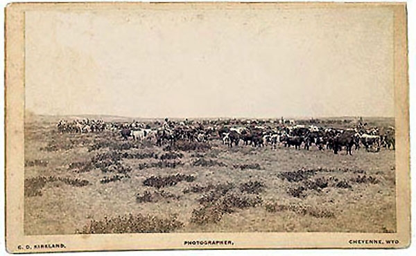 Wyoming Trail Herd