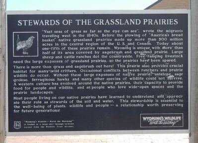 Stewards of the Grassland Prairies Marker image. Click for full size.