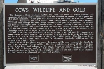Cows, Wildlife and Gold Marker image. Click for full size.