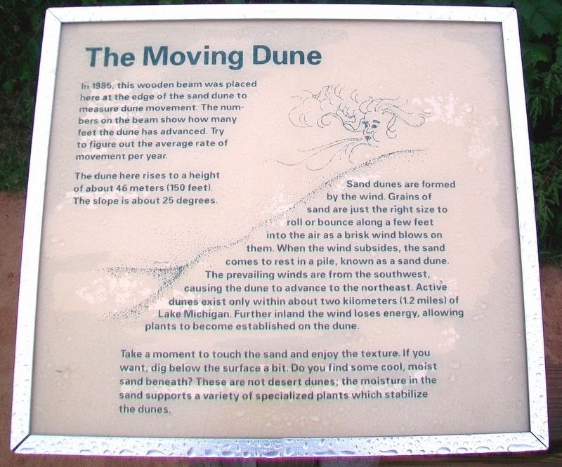The Moving Dune Marker. Click for full size. The Moving Dune Marker image. Click for full size.