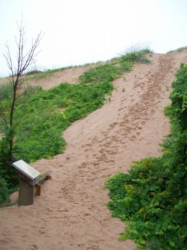 The Moving Dune and Marker. Click for full size. The Moving Dune and Marker image. Click for full size.