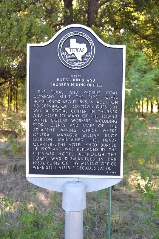 Site of Hotel Knox and Thurber Mining Office Marker image. Click for full size.