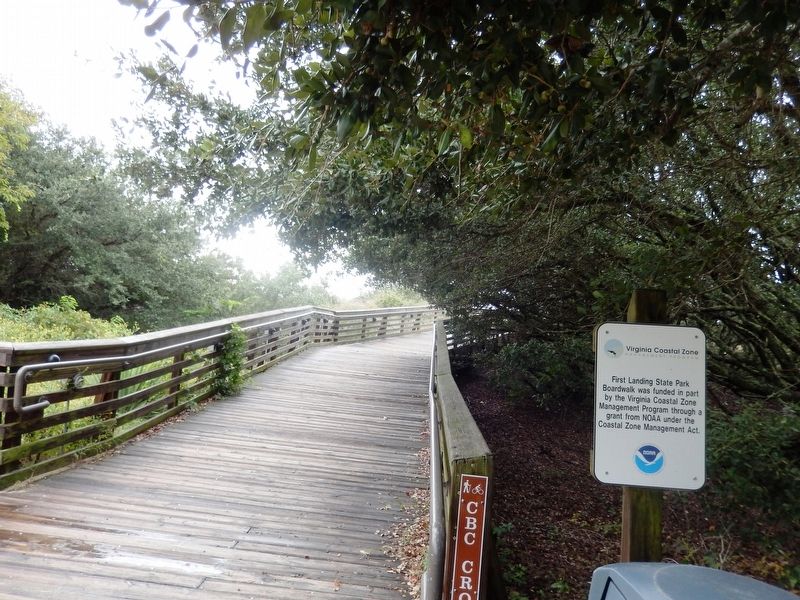 First Landing State Park Boardwalk-funding image. Click for full size.