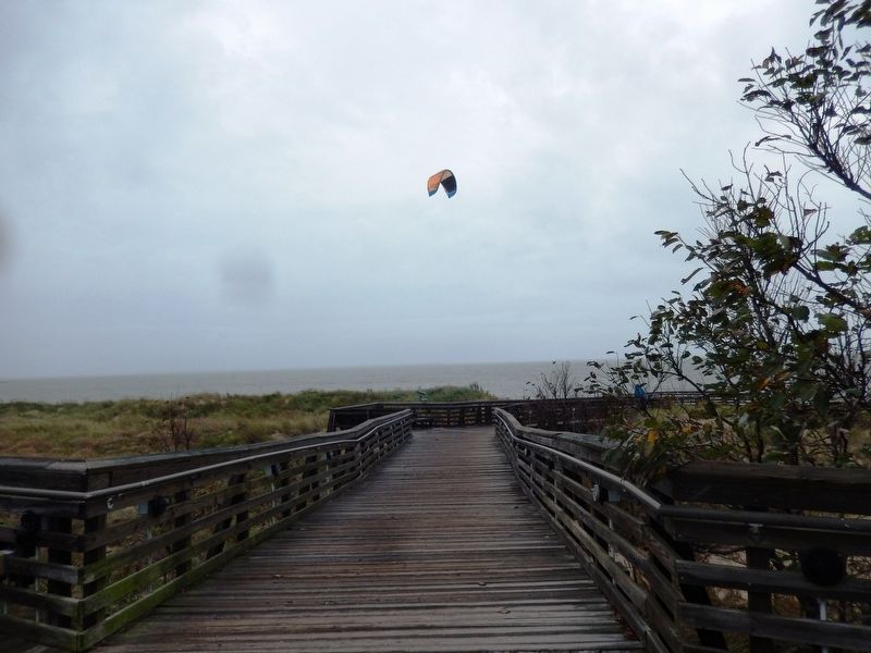First Landing State Park Boardwalk. Click for full size. First Landing State Park Boardwalk image. Click for full size.