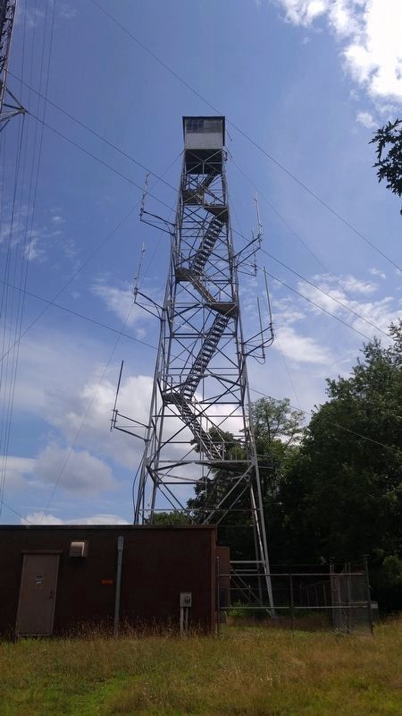 Thayerville Fire Tower image. Click for full size.