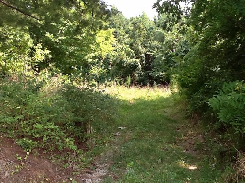 Potter House site, as seen from marker area image. Click for full size.