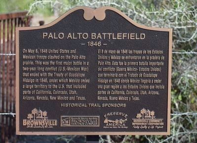 Palo Alto Battlefield Marker image. Click for full size.