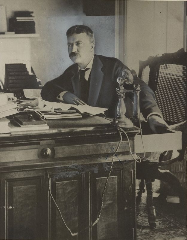 <i>Theodore Roosevelt When he was a New York Police Commissioner</i>. Click for full size. <i>Theodore Roosevelt When he was a New York Police Commissioner</i> image. Click for full size.