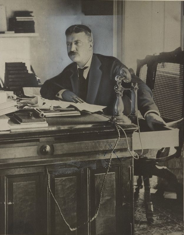 <i>Theodore Roosevelt When he was a New York Police Commissioner</i> image. Click for full size.