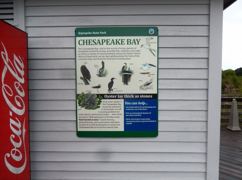 Chesapeake Bay Marker image. Click for full size.