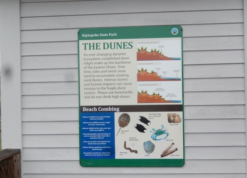 The Dunes Marker. Click for full size. The Dunes Marker image. Click for full size.
