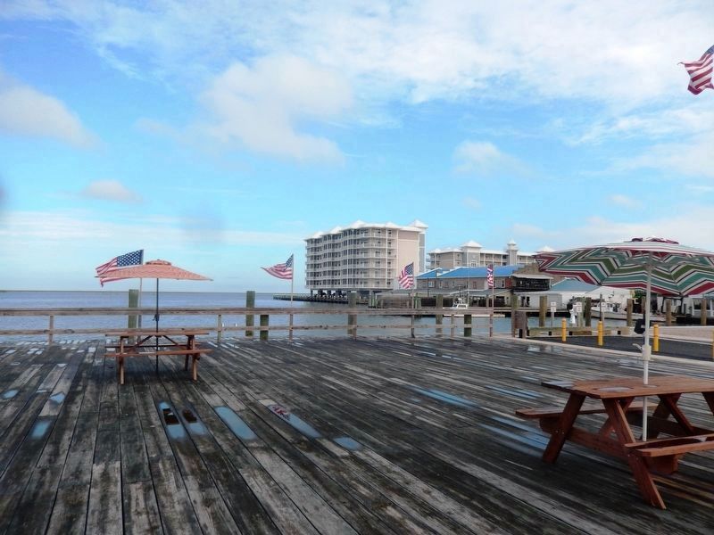 City Dock with Condos in the background image. Click for full size.