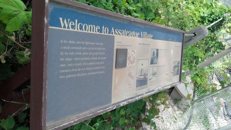 Welcome to Assateague Village Marker. Click for full size. Welcome to Assateague Village Marker image. Click for full size.