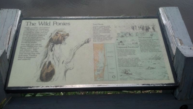 The Wild Ponies Marker image. Click for full size.