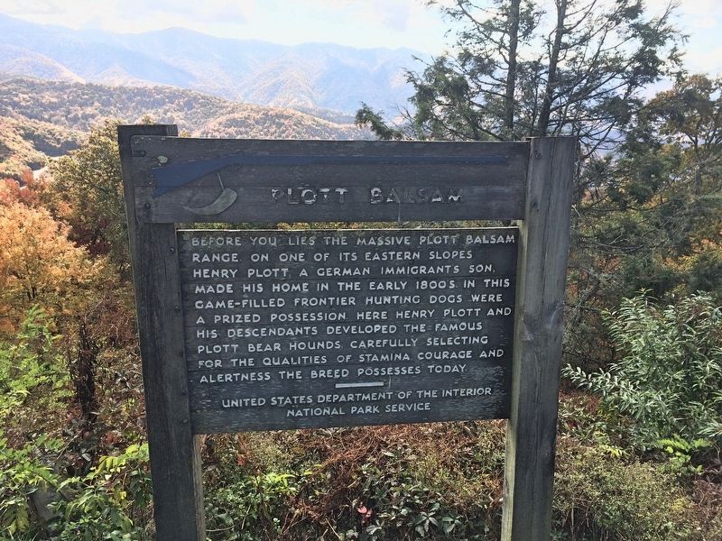 Plott Balsam Marker. Click for full size. Plott Balsam Marker image. Click for full size.