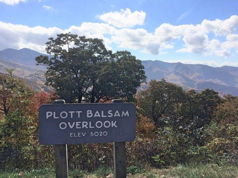 Plott Balsam Overlook and Balsam Range in background.. Click for full size. Plott Balsam Overlook and Balsam Range in background. image. Click for full size.