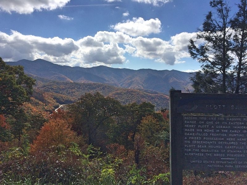 Plott Balsam Marker with Balsam Range in background.. Click for full size. Plott Balsam Marker with Balsam Range in background. image. Click for full size.
