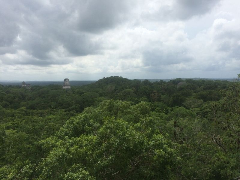 Panorama of Temples at Tikal National Park image. Click for full size.