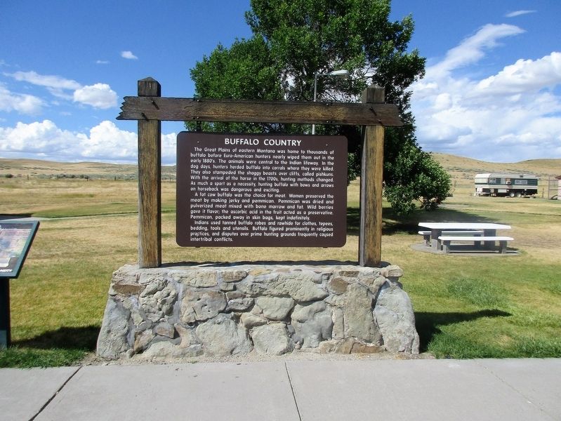 Buffalo Country Marker image. Click for full size.