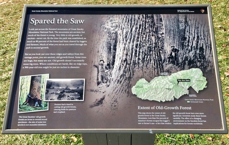 Spared the Saw Marker. Click for full size. Spared the Saw Marker image. Click for full size.