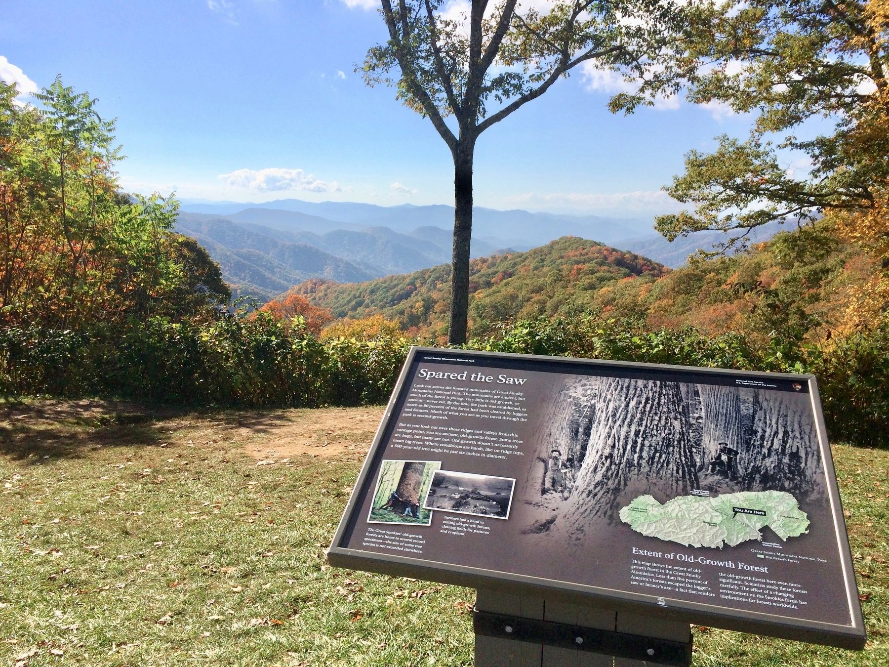 View of marker and forests beyond. image. Click for full size.