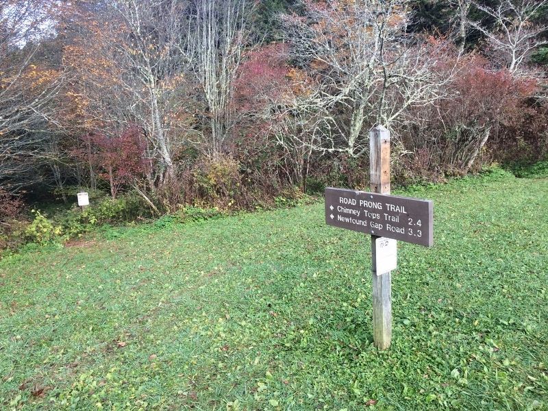 Old Indian Gap Road in the left distance where the trail is marked. image. Click for full size.
