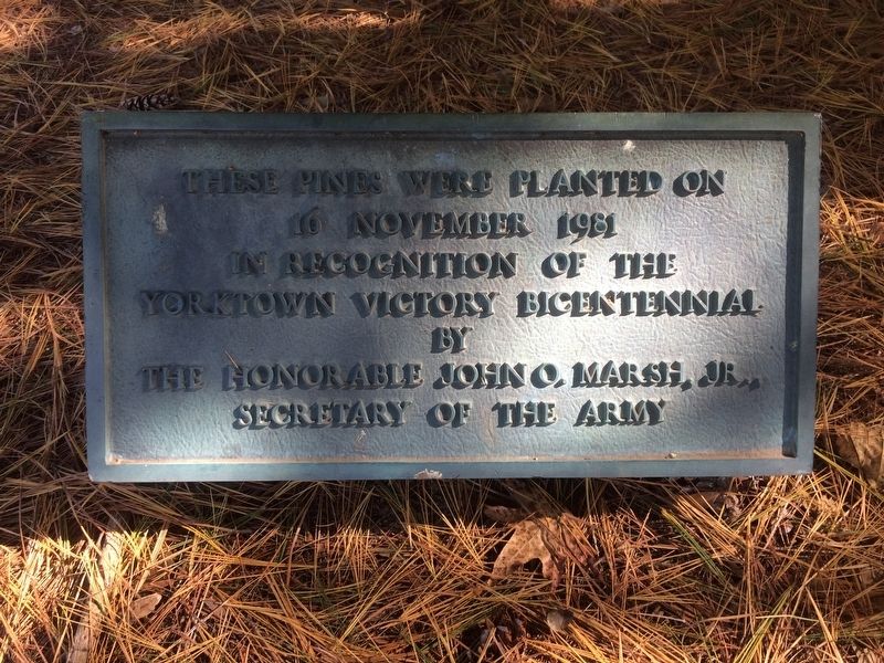 Yorktown Bicentennial Pine Trees Marker. Click for full size. Yorktown Bicentennial Pine Trees Marker image. Click for full size.
