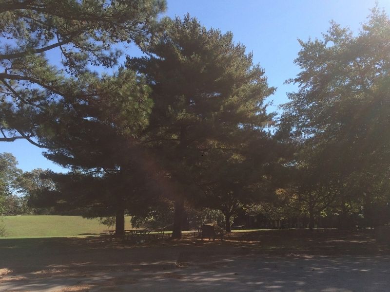 Yorktown Bicentennial Pine Trees Marker image. Click for full size.