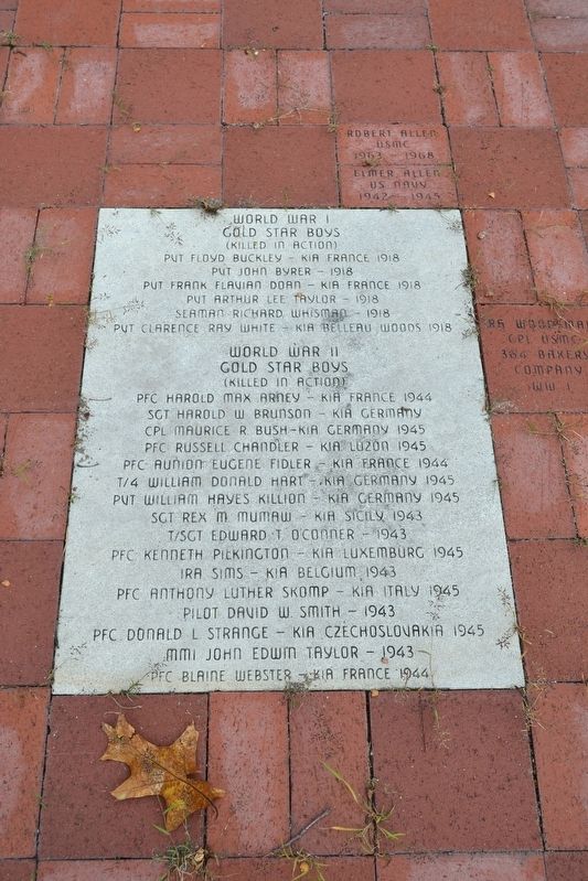 World War I and World War II<br>Gold Star Boys (Killed in Action). Click for full size. World War I and World War II<br>Gold Star Boys (Killed in Action) image. Click for full size.