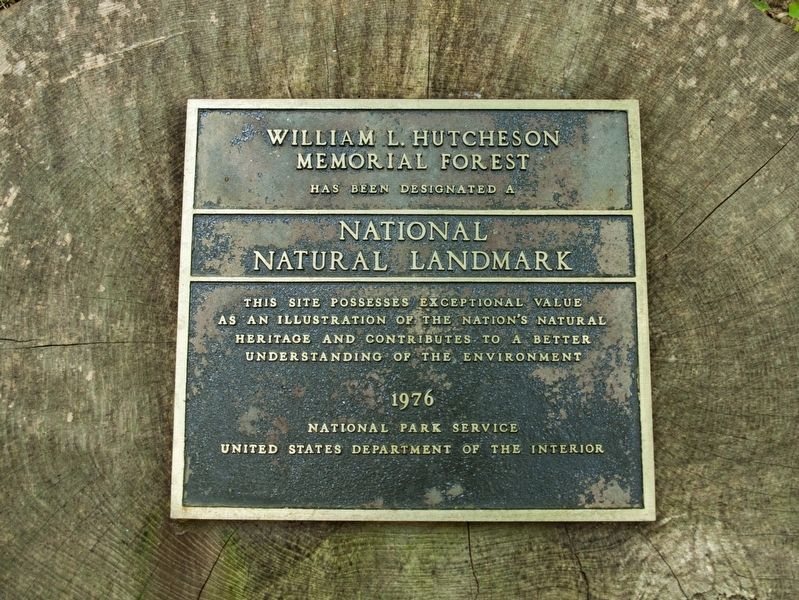 William L. Hutcheson Memorial Forest Marker. Click for full size. William L. Hutcheson Memorial Forest Marker image. Click for full size.