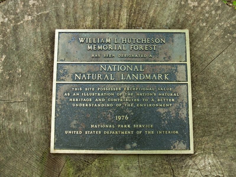 William L. Hutcheson Memorial Forest Marker image. Click for full size.