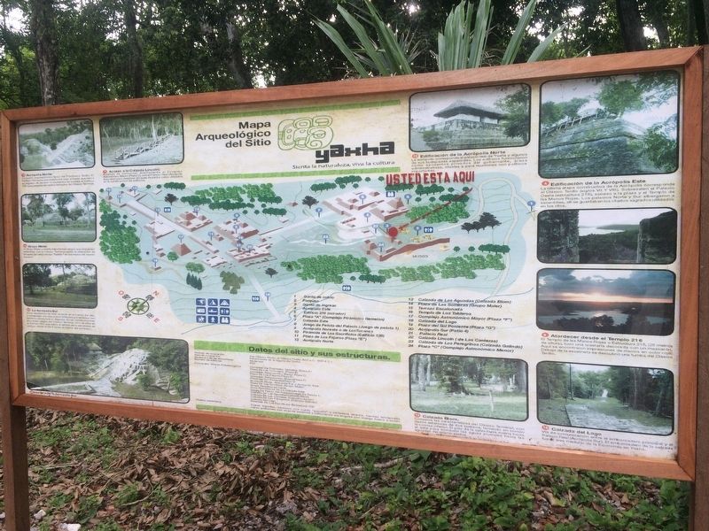 Yaxhá Archaeological Park Map image. Click for full size.