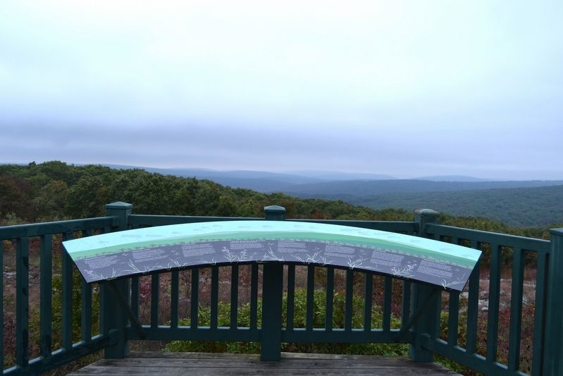 Taum Sauk Mountain State Park Overlook Marker image. Click for full size.