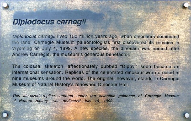 Diplodocus carnegii Marker image. Click for full size.