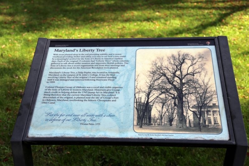 Marylands Liberty Tree Marker image. Click for full size.