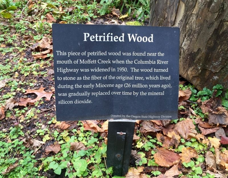 Petrified Wood Marker. Click for full size. Petrified Wood Marker image. Click for full size.