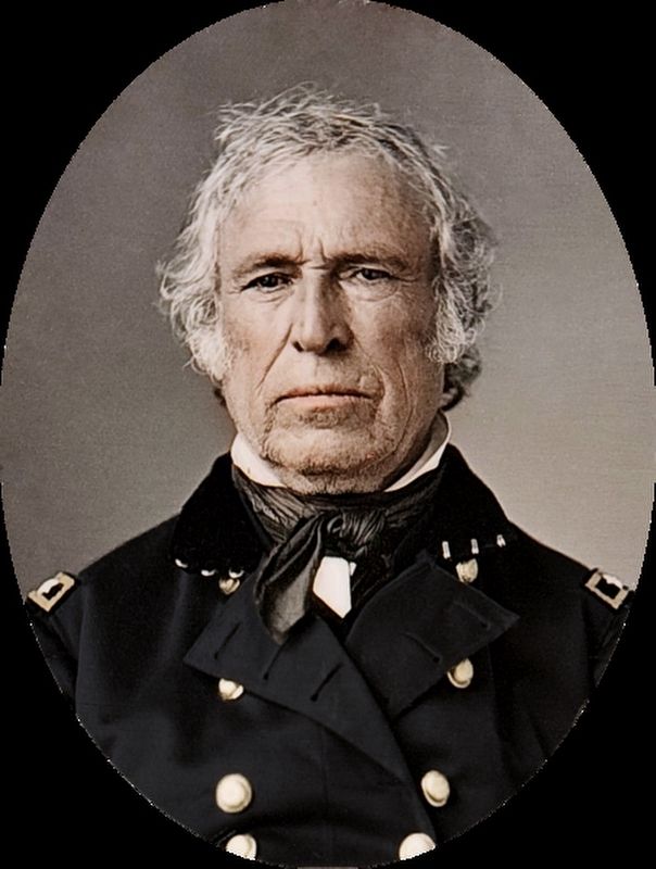 Zachary Taylor image. Click for full size.