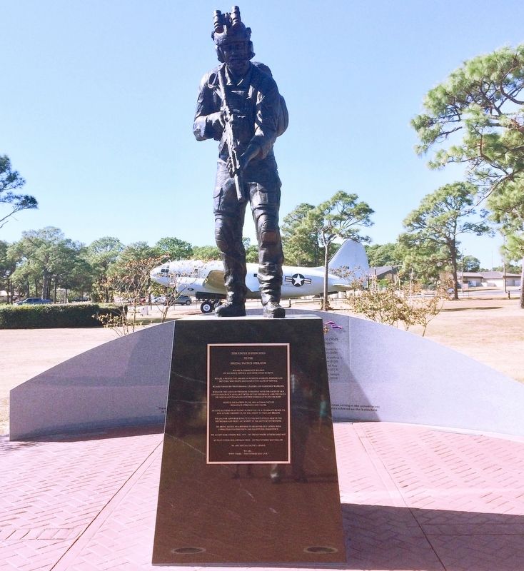 Special Tactics Memorial. Click for full size. Special Tactics Memorial image. Click for full size.