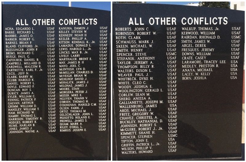 Veterans of All other Conflicts since Vietnam. image. Click for full size.