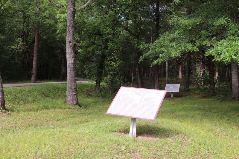 Davidson's Brigade Marker image. Click for full size.