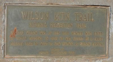 Wilson Mtn. Trail Marker image. Click for full size.