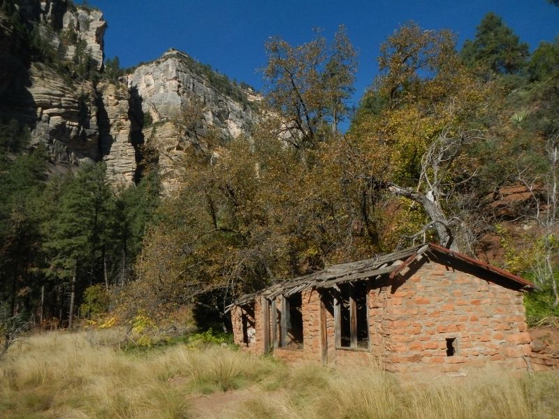 The Mayhew Lodge Cabins/Chicken Coop. Click for full size. The Mayhew Lodge Cabins/Chicken Coop image. Click for full size.