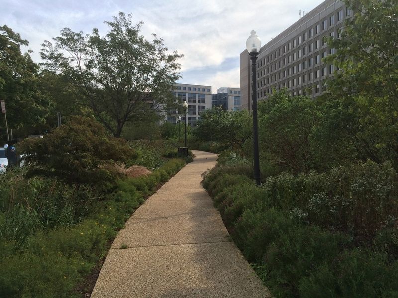 Earth Day Park and its innovative landscaping. Click for full size. Earth Day Park and its innovative landscaping image. Click for full size.